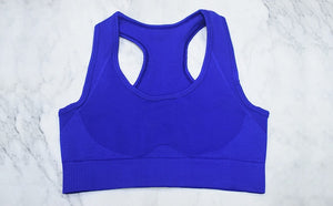 Yoga Top Sport Bras Nylon Gym Clothing  Costume Seamless Fitness Clothes for Women Exercise Top Padded Sports Bras,ZF276