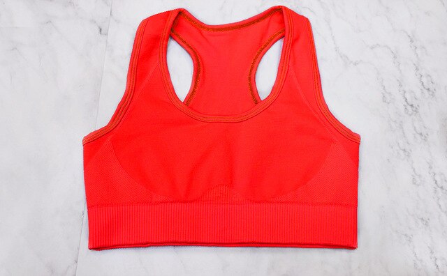 Yoga Top Sport Bras Nylon Gym Clothing  Costume Seamless Fitness Clothes for Women Exercise Top Padded Sports Bras,ZF276
